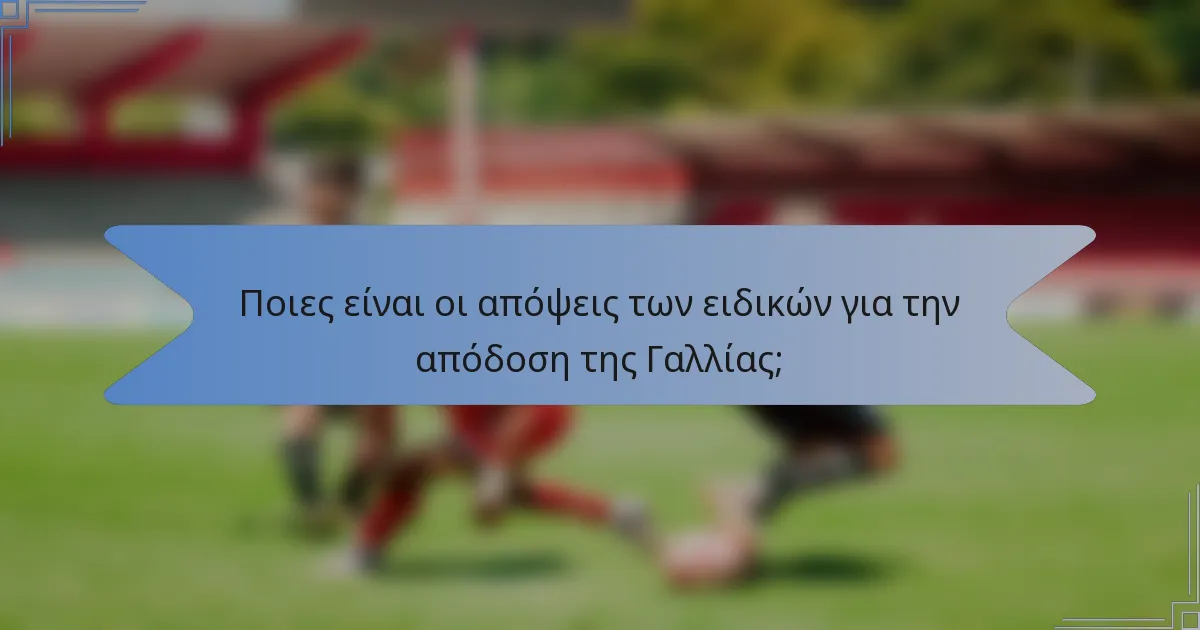 Ποιες είναι οι απόψεις των ειδικών για την απόδοση της Γαλλίας;