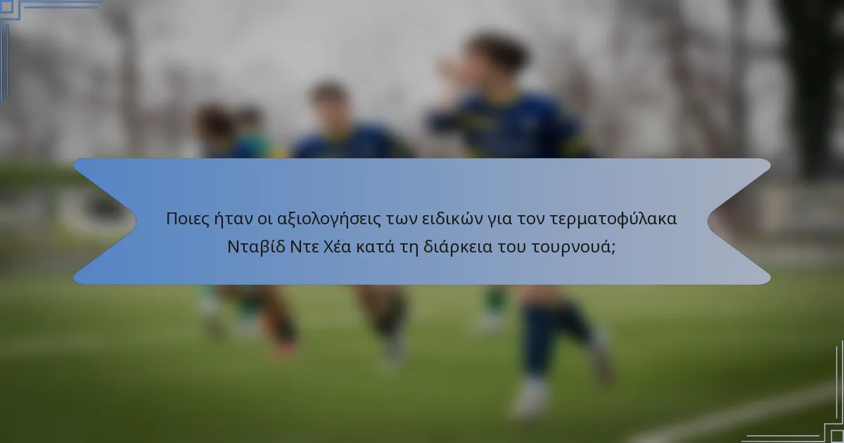Ποιες ήταν οι αξιολογήσεις των ειδικών για τον τερματοφύλακα Νταβίδ Ντε Χέα κατά τη διάρκεια του τουρνουά;
